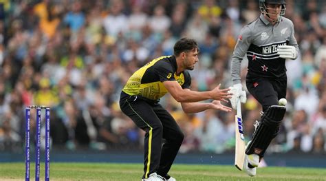 Marcus Stoinis says Australia must embrace pressure after defeat ...