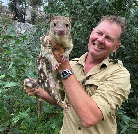 Wild dog fence helps save endangered Spotted-tailed quolls