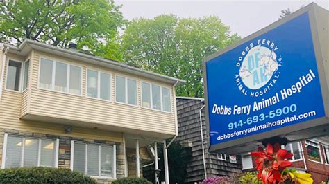 Dobbs Ferry Animal Hospital P.C. | Veterinarians Dobbs Ferry