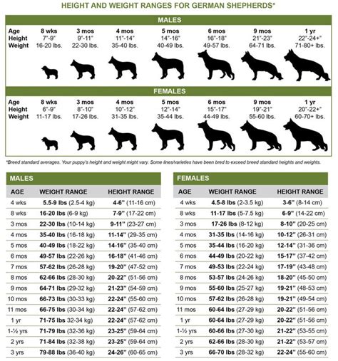 German shepherd weight, German shepherd, Puppy growth chart