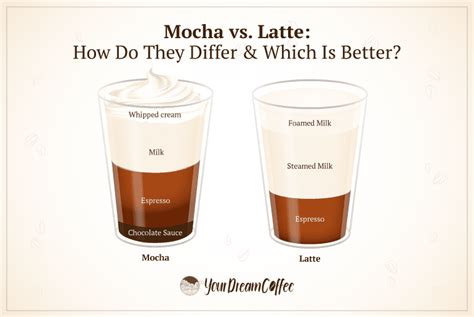 Mocha vs. Latte: How Do They Differ & Which Is Better?