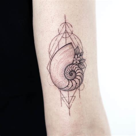 nautilus shell tattoo designs - trinidadgramolini