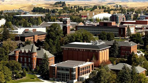 Washington State University Mba Online - University Choices