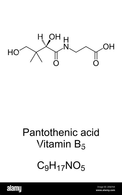 Pantothenic acid, vitamin B5, chemical formula and skeletal structure ...