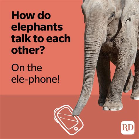 Elephant Jokes That WIll Make You Laugh Your Trunks Off | Reader's Digest