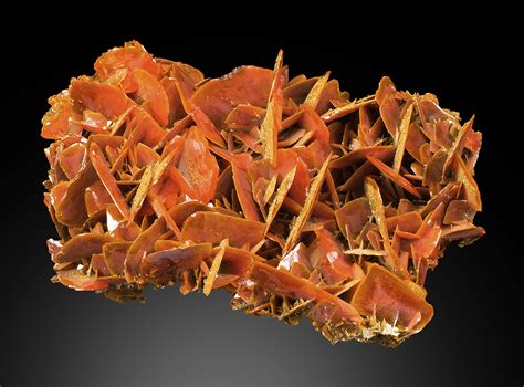 Wulfenite - Minerals For Sale - #1511009