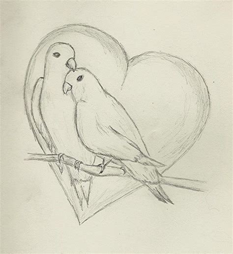 Pencil Drawing Of Lovebirds