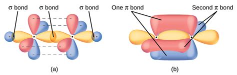 What is the hybridization for C2H6? my teacher wrote sp-s sigma bond [C-H] and sp-sp sigma bond ...