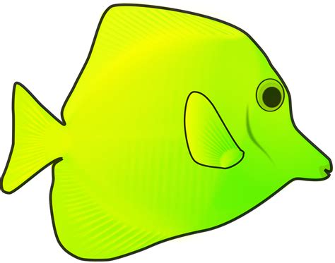 Clipart - yellow fish