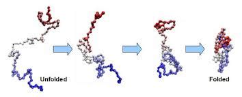 Protein Folding