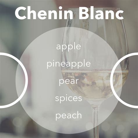Chenin Blanc – Wine Insiders