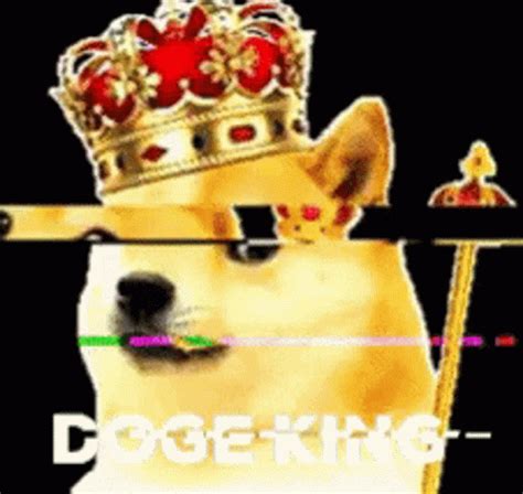 Doge GIF - Doge - Discover & Share GIFs