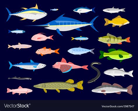 Edible fishes Royalty Free Vector Image - VectorStock