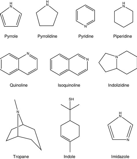 Alkaloid Structure