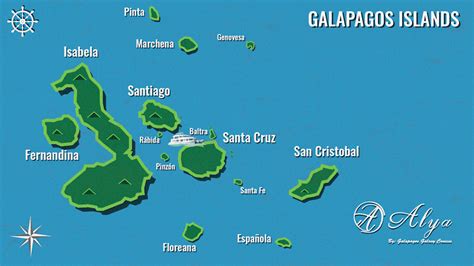 Galapagos Kreuzfahrt Katamaran Alia - Luxusklasse Galapagos