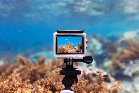 Best action cameras for scuba diving 2022 - DIVE Magazine