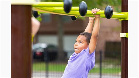 Elm Grove Elementary School - Nature-Inspired School Playground Towers