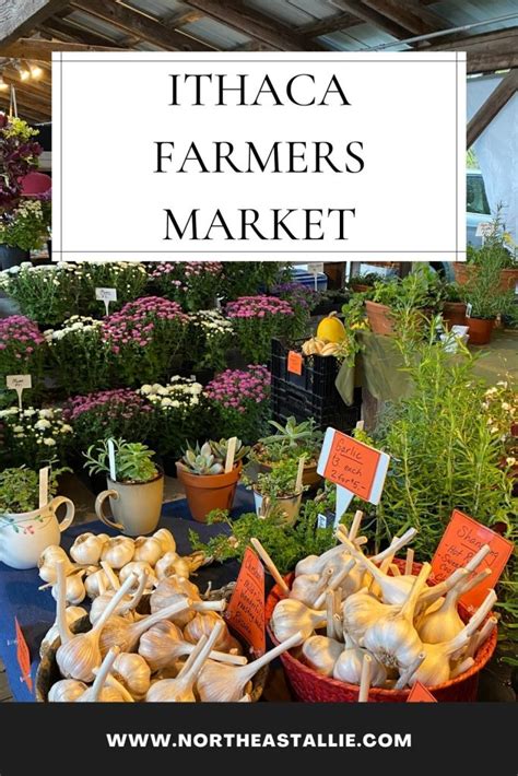 Ithaca Farmers Market - Northeast Allie