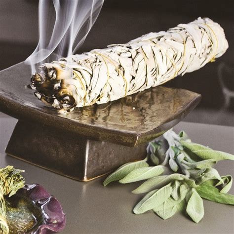 White Sage Wildcrafted Smudge Stick – Isabella