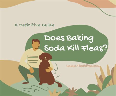 Does Baking Soda Kill Fleas? A Definitive Guide