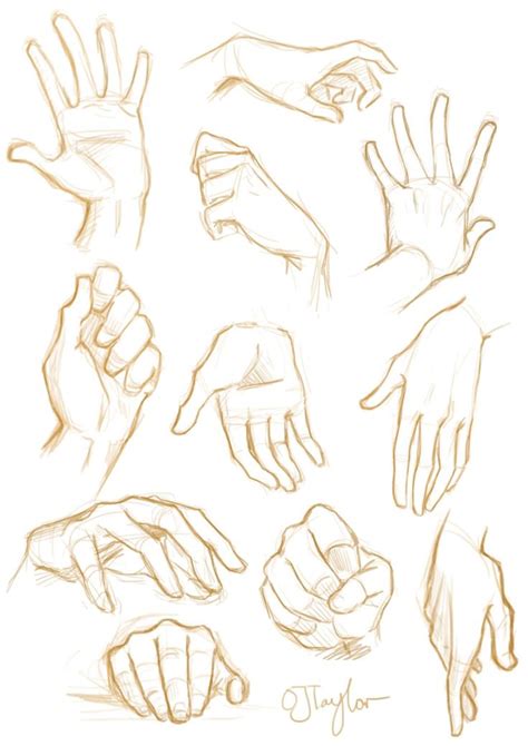 Sketch Hands | Drawing Reference Poses