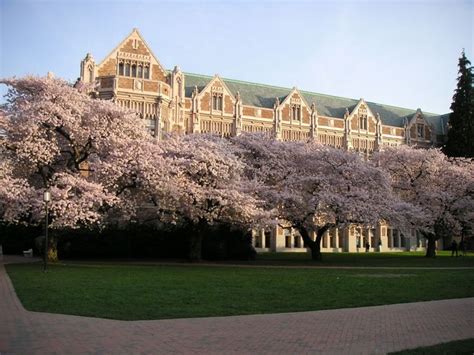 University of Washington -Spring | University of washington, College ...