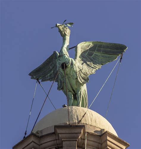 The Liver Bird Photograph by Paul Madden