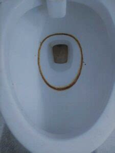 How To Clean Toilet Bowl Ring