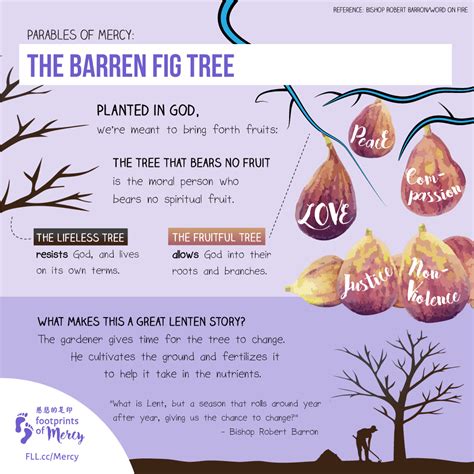 Barren Fig Tree