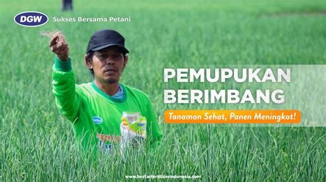 Pemupukan Berimbang, Tanaman Sehat dan Hasil Meningkat! - www.hextarfertilizerindonesia.com