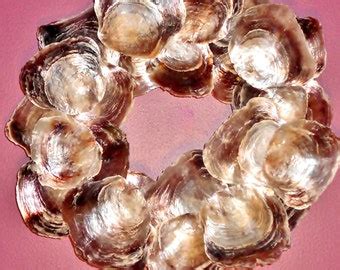 Oyster shell wreath | Etsy