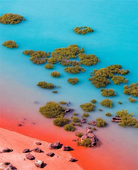 Roebuck Bay in Broome | Western australia travel, Broome western australia, Australia travel