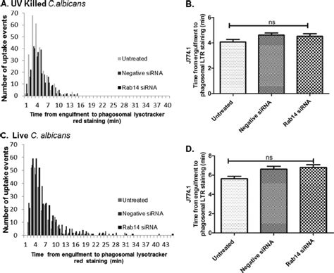 The localization of LysoTracker Red (LTR) to phagosomes containing C ...