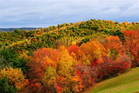 COMPLETE 2024 Ohio Fall Colors Map + Peak Prediction Guide