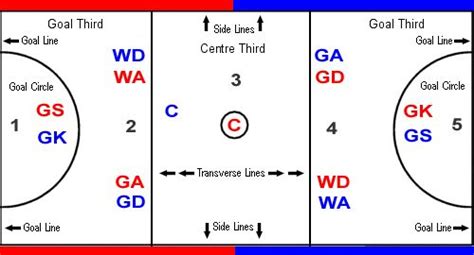 Finding Your Netball Position | GO Mammoth