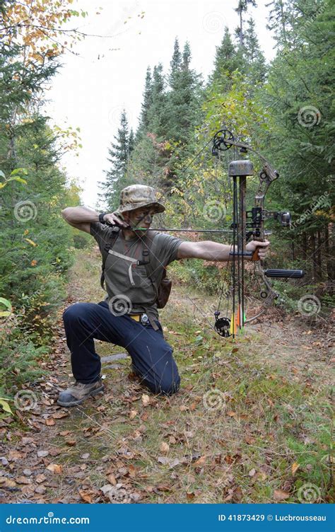 Bow and arrow hunt stock image. Image of arrow, sport - 41873429