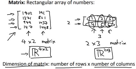 Introduction to Linear Algebra - UPSCFEVER