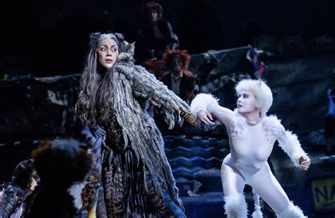 CATS - The Musical | Ronacher | Schedule & Tickets | Musical Vienna