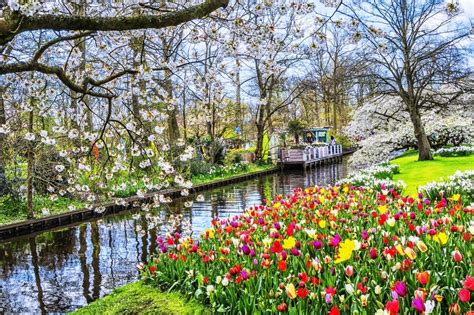 The Netherlands’ Most Beautiful Spring Garden Has Opened Its Gates—Online