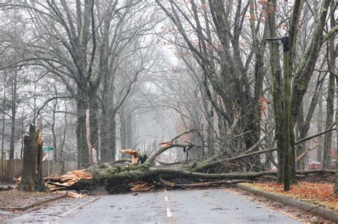 Images of storm damage across Massachusetts – NBC Boston