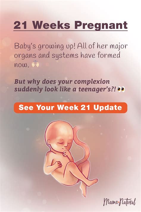 See what's up with baby, mama, and more when you're 21 weeks pregnant. The ultimate week by week ...