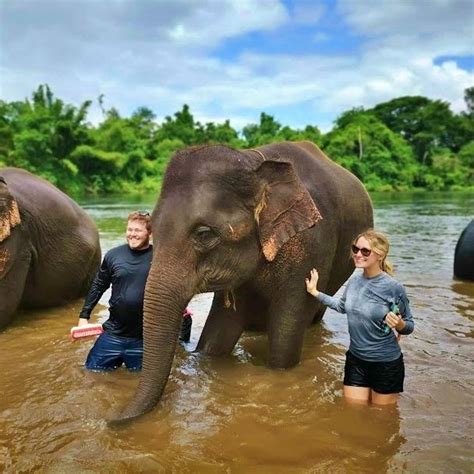 Bangkok Elephant Care Sanctuary