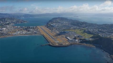 New Zealand uses dye to track airport seagulls - BBC News