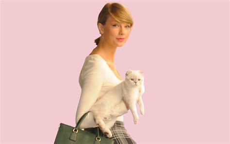 Taylor Swift's Cats: Names, Breeds, Fun Facts - Parade Pets