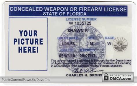 Florida's Concealed Carry Weapons Permit Fast-Track Process Could Spread to Other States