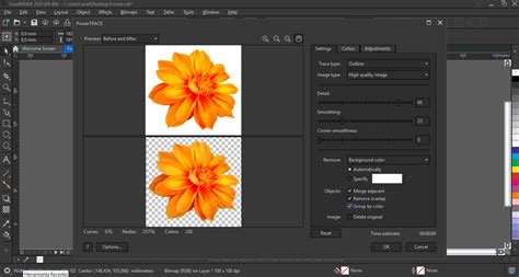 How To Remove The Background Of A Picture In Coreldraw X3 - HOWOTRE