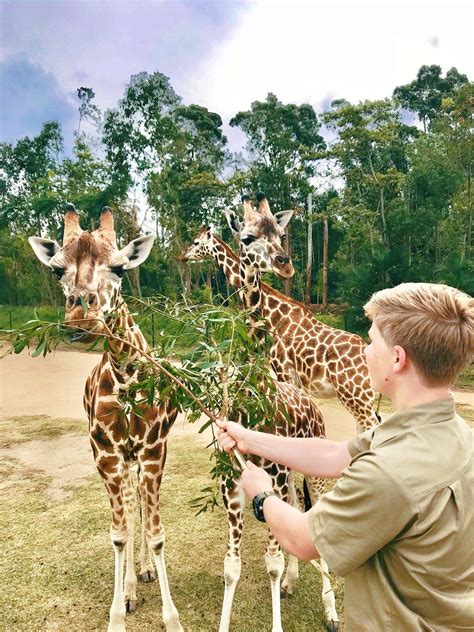 Robert Irwin and Friends | Steve irwin, Wildlife biologist, Irwin family