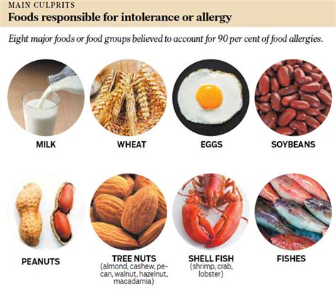 Can Food Allergies Cause Speech Disorders?: Ear Infections Caused by ...