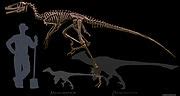 Category:Dakotaraptor size comparisons - Wikimedia Commons