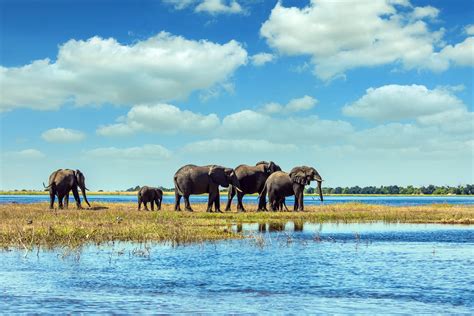 Okavango Delta Mokoro Safari - Kated